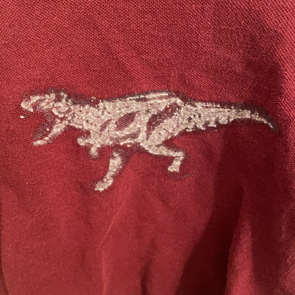 Y2K T Rex Dinosaur red shirt top boys 3T